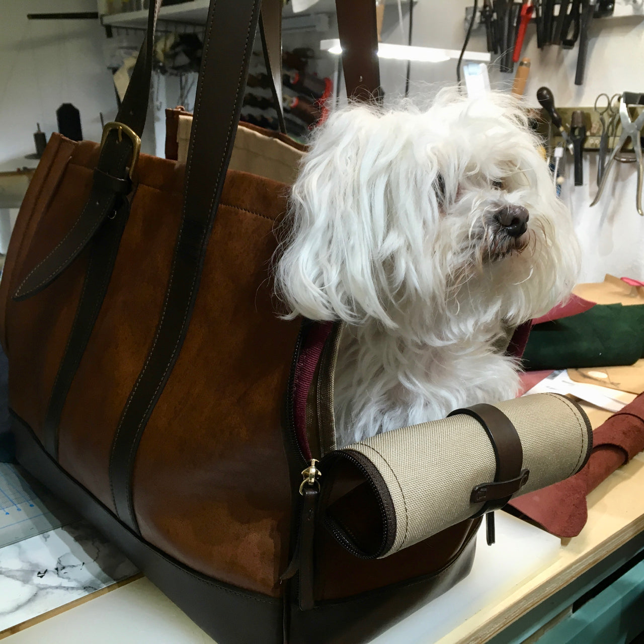 Porte-chien exclusif - Fabriqué sur commande